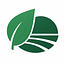 newenergybrasil.com.br logo